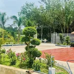 Bán nhà vườn 1.800m² An Thái, Phú Giáo, Bình Dương giá 3,5 tỷ - Ảnh thu nhỏ 4