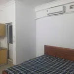 Cho thuê phòng trọ cao cấp 20m² Hạ Long 2.4-2.6 triệu - Ảnh thu nhỏ 2