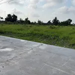 Bán đất 12x80m nở hậu, có sổ, ao cá, xã Tầm Vu, Tây Ninh - Ảnh thu nhỏ 2