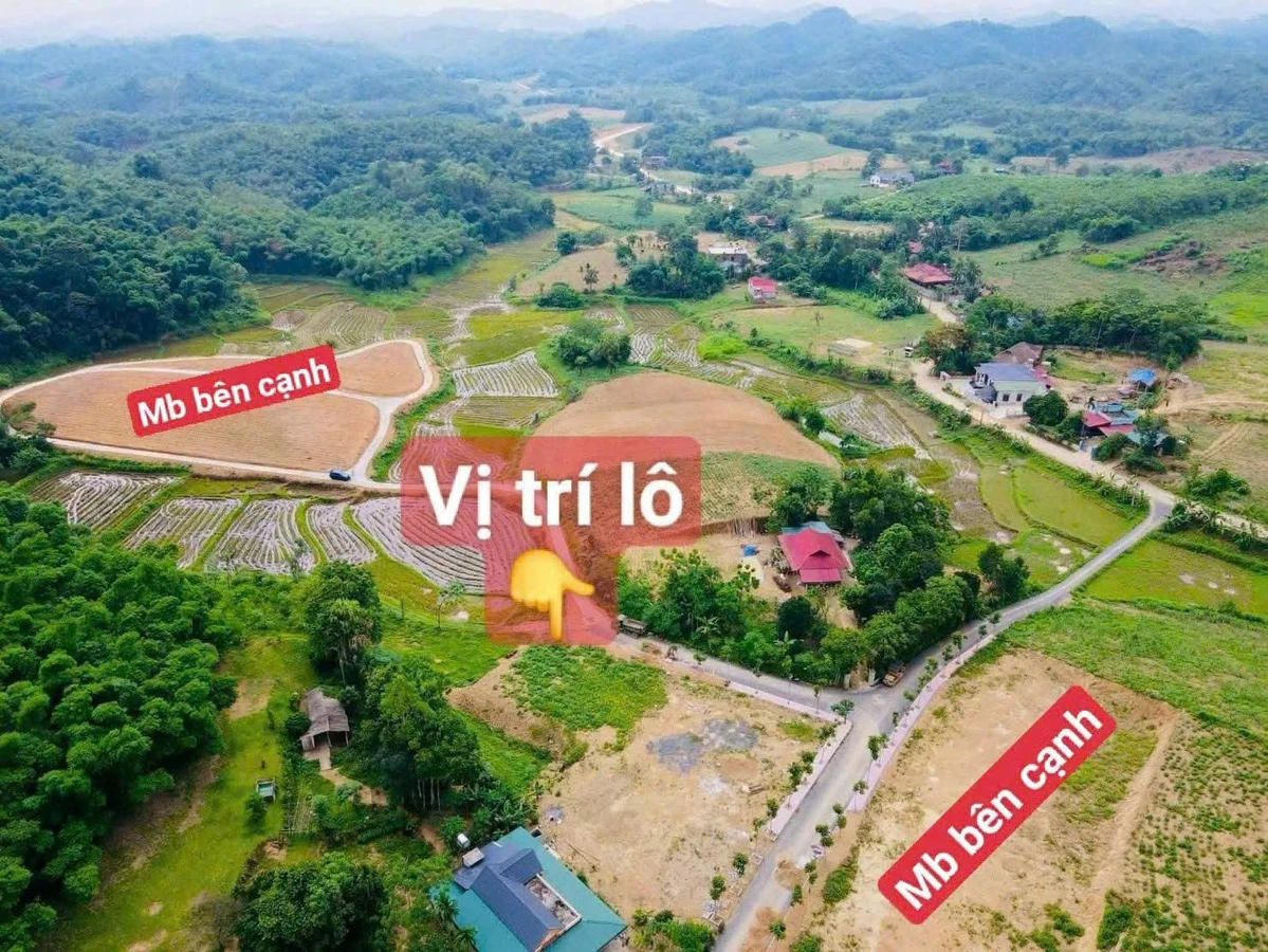 Bán lô đất 150m² mặt tiền đường nhựa Hóc Môn 79 triệu - Ảnh thu nhỏ 3