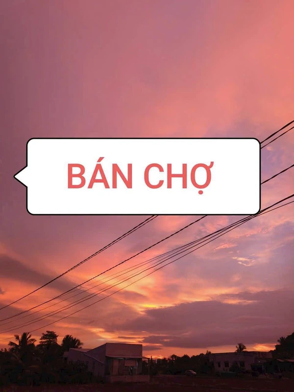 Bán chợ nổi đang hoạt động Long An 8000m²