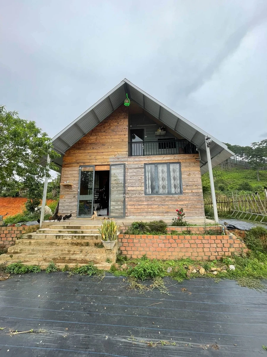Bán đất 2000m² sổ riêng Lạc Dương Lâm Đồng 3,5 tỷ - Ảnh thu nhỏ 4