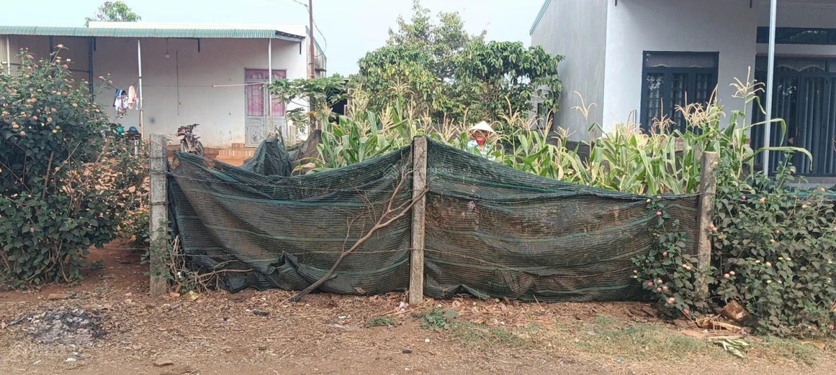 Bán lô đất 450m Đăk Đoa, Gia Lai khu dân cư đông đúc, 300m đến đường Quốc lộ 19B - Ảnh thu nhỏ 5