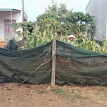 Bán lô đất 450m Đăk Đoa, Gia Lai khu dân cư đông đúc, 300m đến đường Quốc lộ 19B - Ảnh thu nhỏ 5