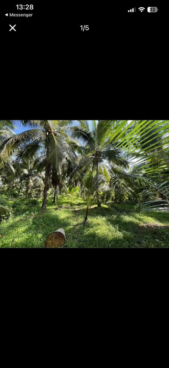 Bán đất 300m² Xã Tân Thanh Tây Nhà Bè 690 triệu - Ảnh thu nhỏ 4
