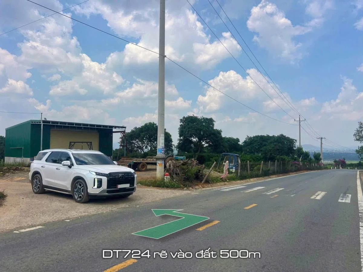 Bán đất mặt tiền Võ Thị Sáu Lâm Đồng 138m² 335 triệu - Ảnh thu nhỏ 3