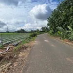 Bán lô đất 250m² đường nhựa Long Thuận, Tây Ninh - 199 triệu - Ảnh thu nhỏ 1