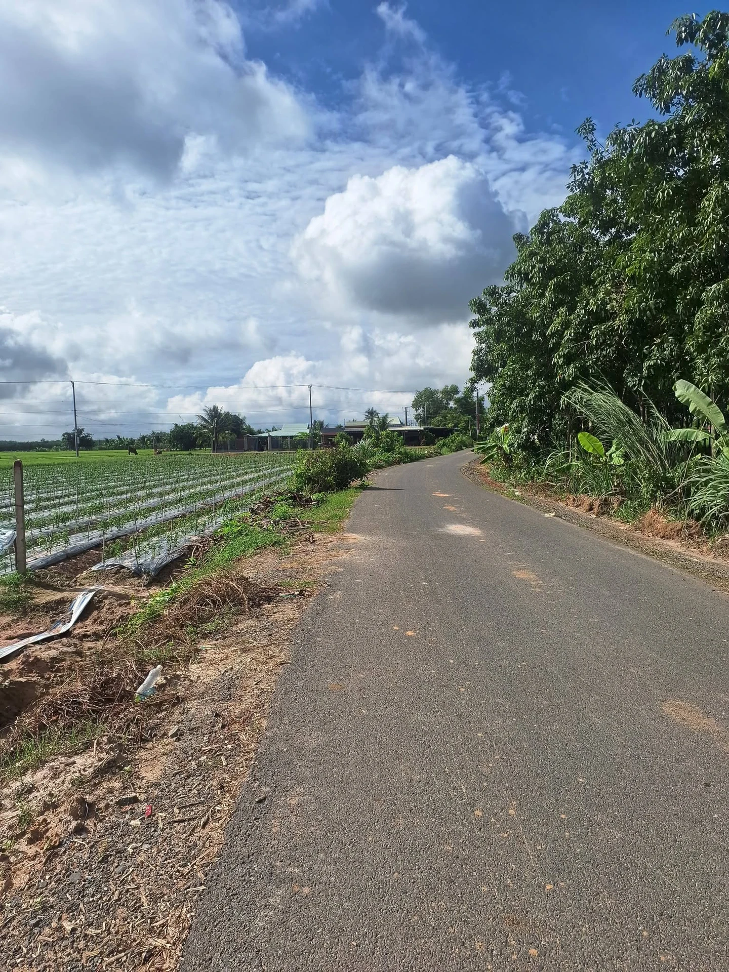 Bán lô đất 250m² đường nhựa Long Thuận, Tây Ninh - 199 triệu - Ảnh 1