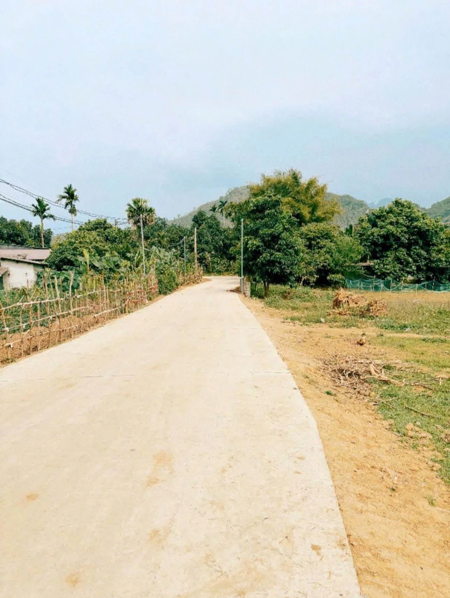 Bán đất vườn 1.002m² Kim Bôi Hòa Bình 1,25 tỷ - Ảnh thu nhỏ 3