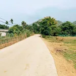Bán đất vườn 1.002m² Kim Bôi Hòa Bình 1,25 tỷ - Ảnh thu nhỏ 3