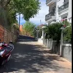 Bán đất nền biệt thự 233m² Phường 8 Đà Lạt 8,2 tỷ - Ảnh thu nhỏ 4