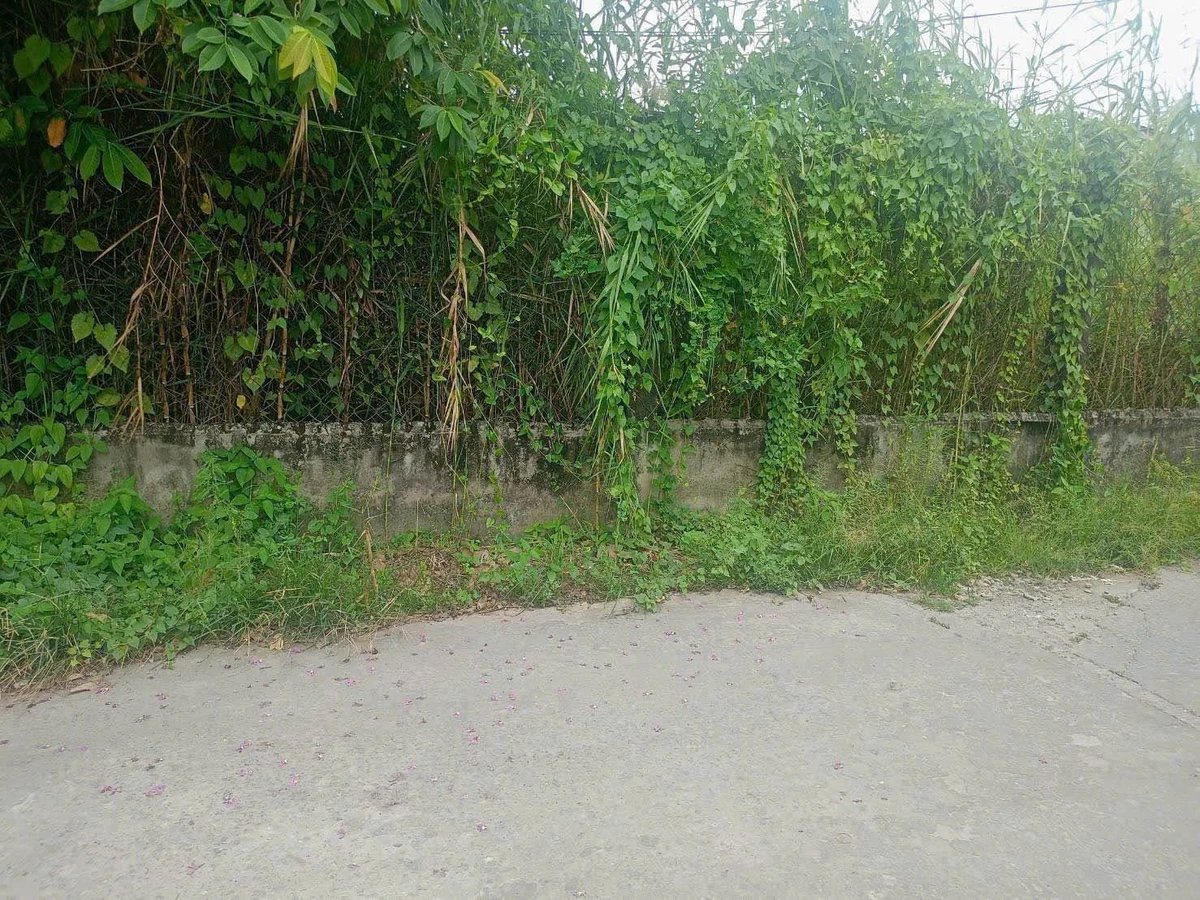 Bán 2 lô nhà liền kề 102,5 m² Tân An Tiền Giang - Ảnh 1