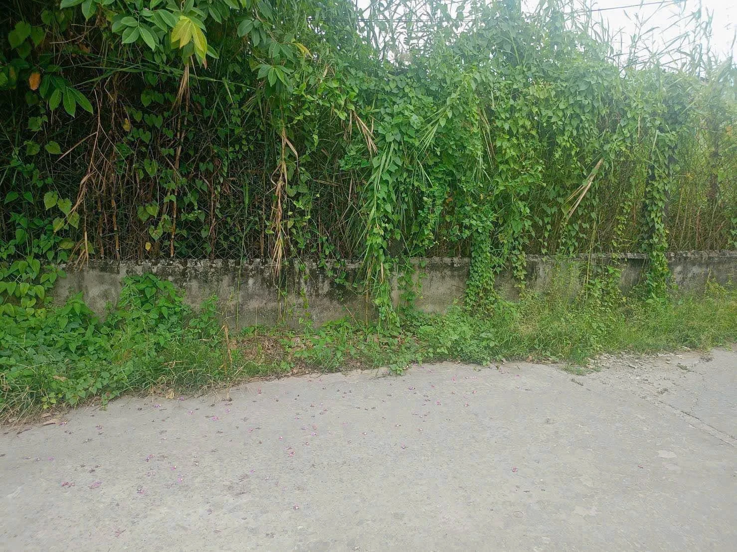 Bán 2 lô nhà liền kề 102,5 m² Tân An Tiền Giang - Ảnh 1