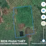 Bán đất vườn Mương Mán 2.024 m² Lâm Đồng - Ảnh thu nhỏ 1