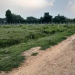 Bán đất 1.000m² An Cơ, Tây Ninh, giá 199 triệu - Ảnh thu nhỏ 1