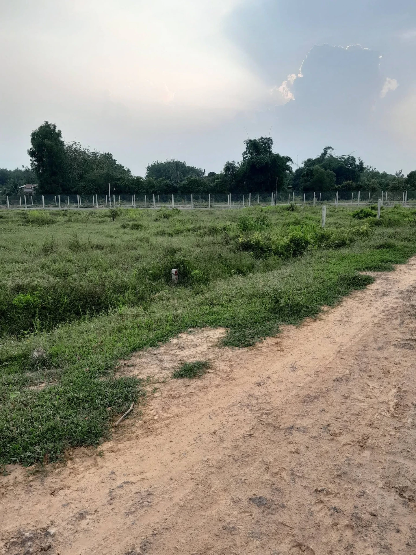 Bán đất 1.000m² An Cơ, Tây Ninh, giá 199 triệu - Ảnh 1