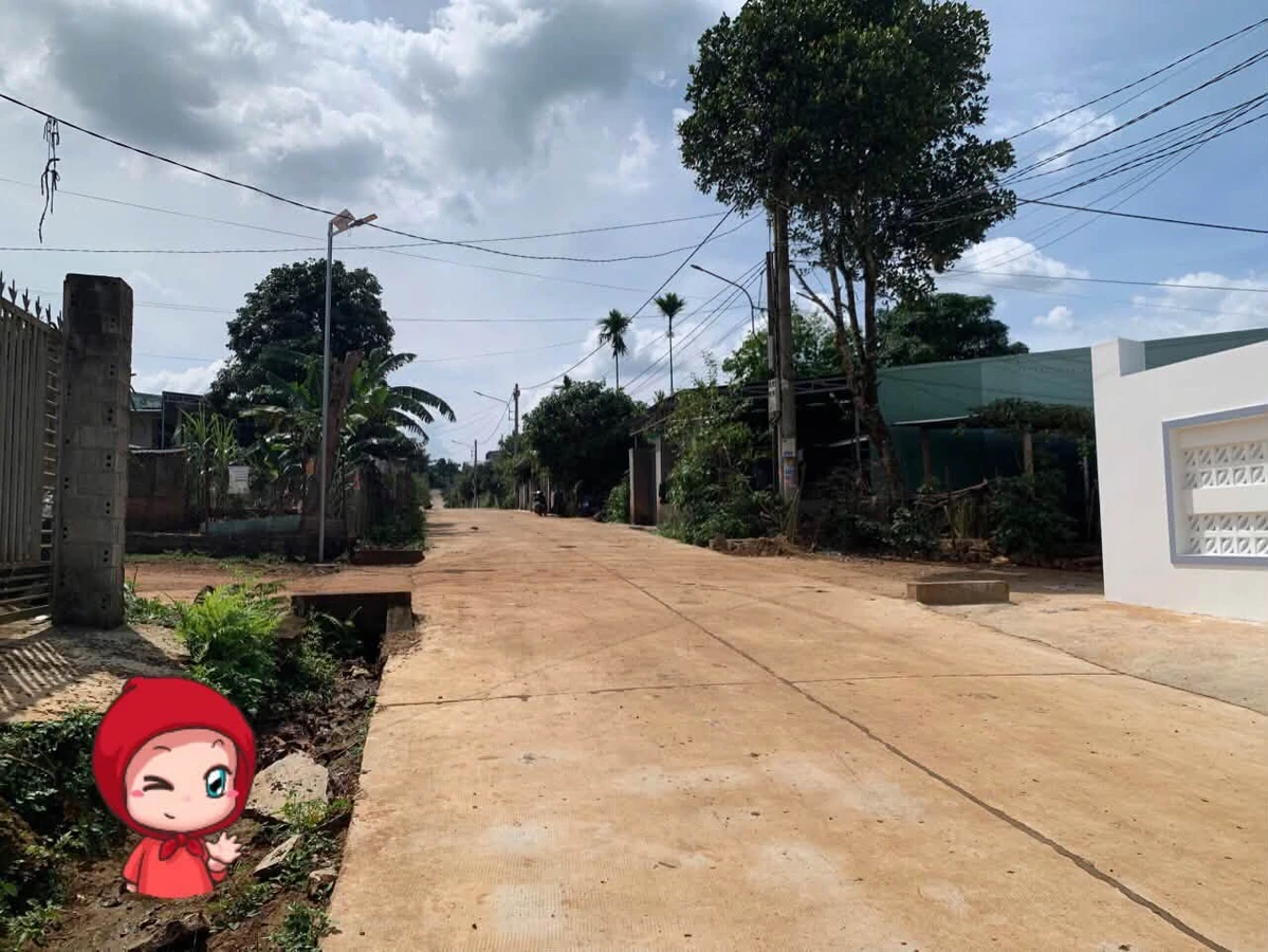 Bán đất thổ cư 120m² hẻm ô tô Pleiku Gia Lai - Ảnh thu nhỏ 3