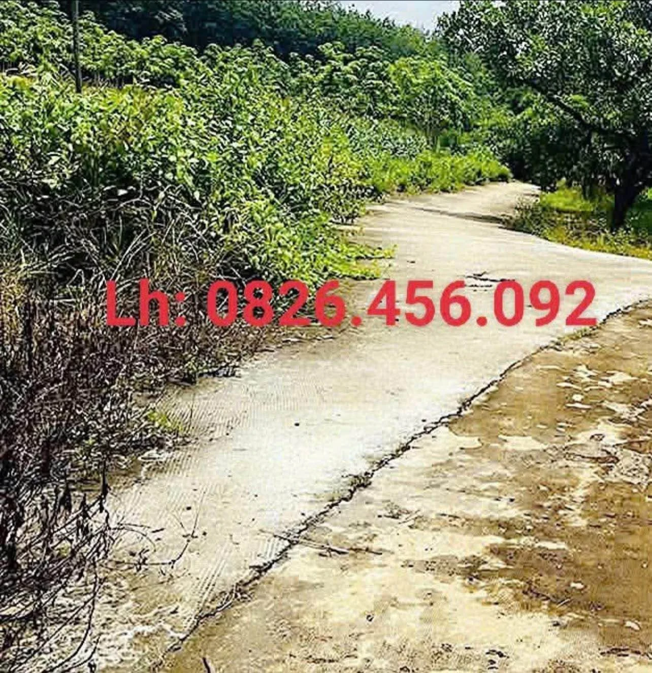 Bán đất Nhà Bè 420m² giá 300 triệu - Ảnh 1