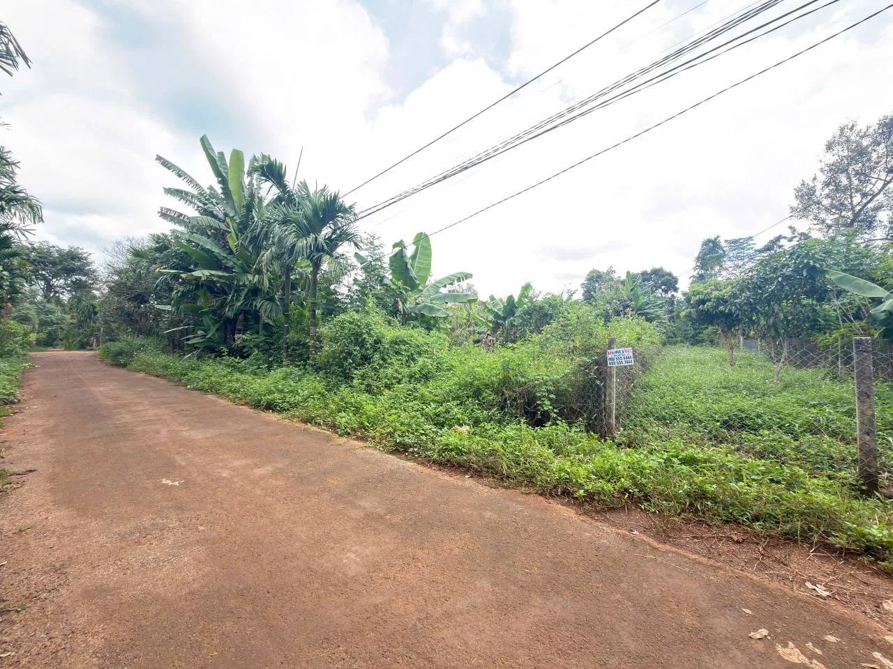 Bán đất 5x50m hẻm cấp 1 Nguyễn Xuân Nguyên, Phường Tân An, giá 1,95 tỷ - Ảnh 1