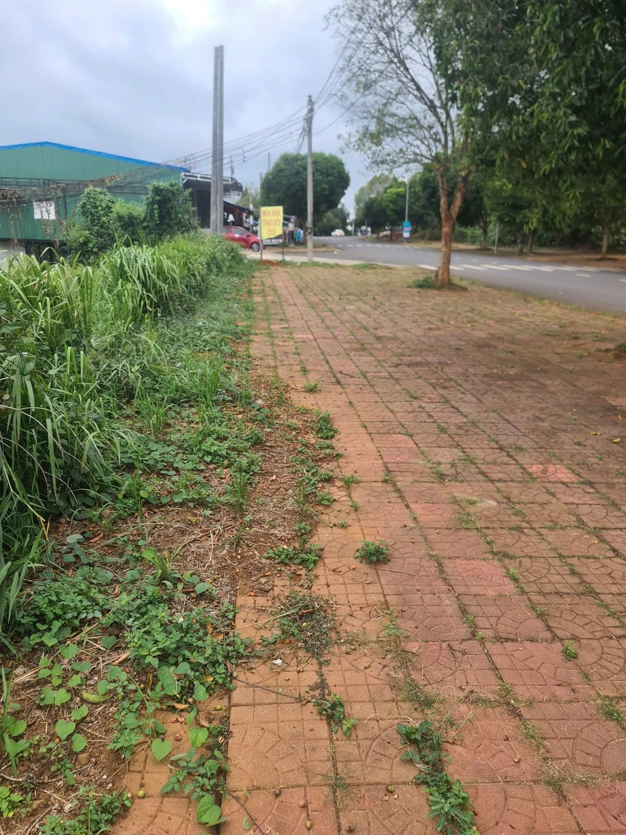 Bán đất 120m² 2 mặt tiền gần Bệnh viện Đắk Nông 1,5 tỷ - Ảnh thu nhỏ 4