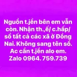 Bán đất 6600m² sổ riêng Đường 769, Bình Dương - Ảnh thu nhỏ 1