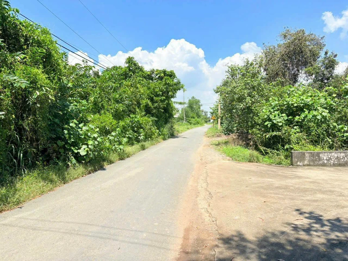 Bán đất 1000m mặt tiền kênh Thanh Phú, Bến Lức - Ảnh thu nhỏ 2
