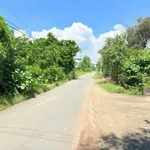 Bán đất 1000m mặt tiền kênh Thanh Phú, Bến Lức - Ảnh thu nhỏ 2