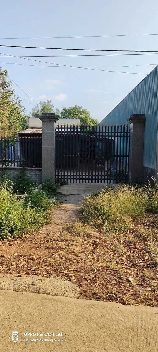 Bán đất Tân Quan Hóc Môn 100m² giá 600 triệu - Ảnh thu nhỏ 3