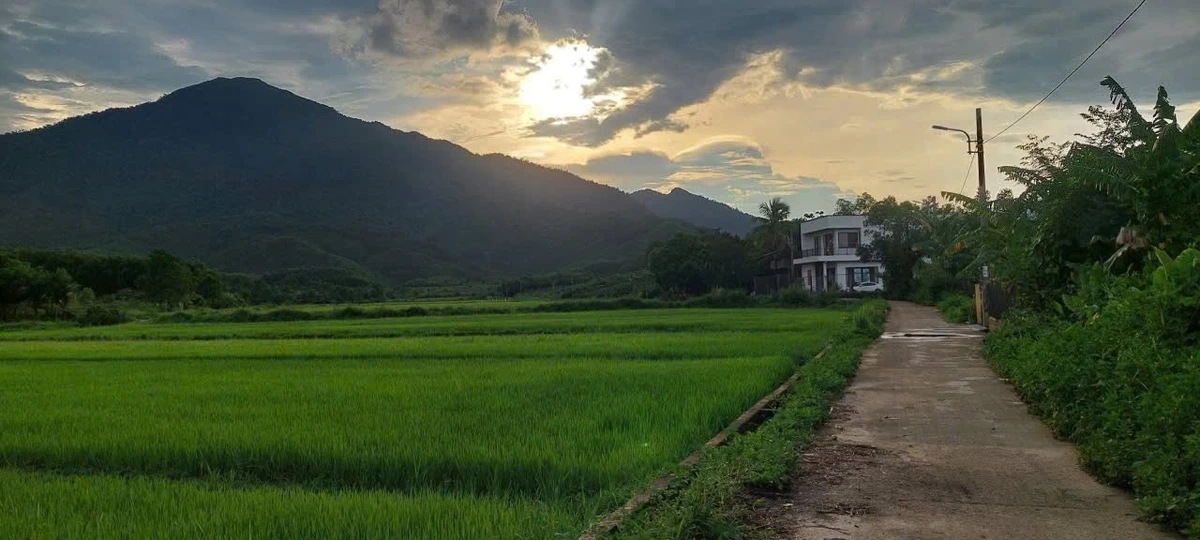 Bán đất xây nhà vườn 468m2 view cánh đồng Xã Hòa Phú - Ảnh thu nhỏ 4