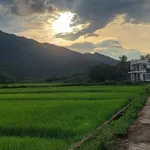 Bán đất xây nhà vườn 468m2 view cánh đồng Xã Hòa Phú - Ảnh thu nhỏ 4