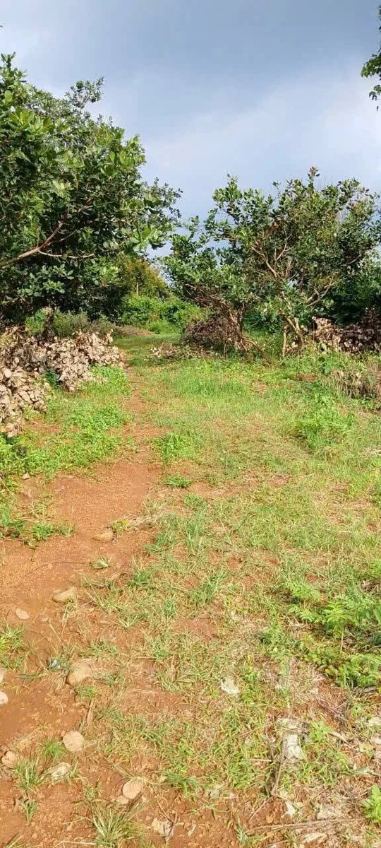 Bán đất 1 sào 3 Nghĩa Thành, view suối - Ảnh thu nhỏ 3