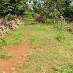 Bán đất 1 sào 3 Nghĩa Thành, view suối - Ảnh thu nhỏ 3