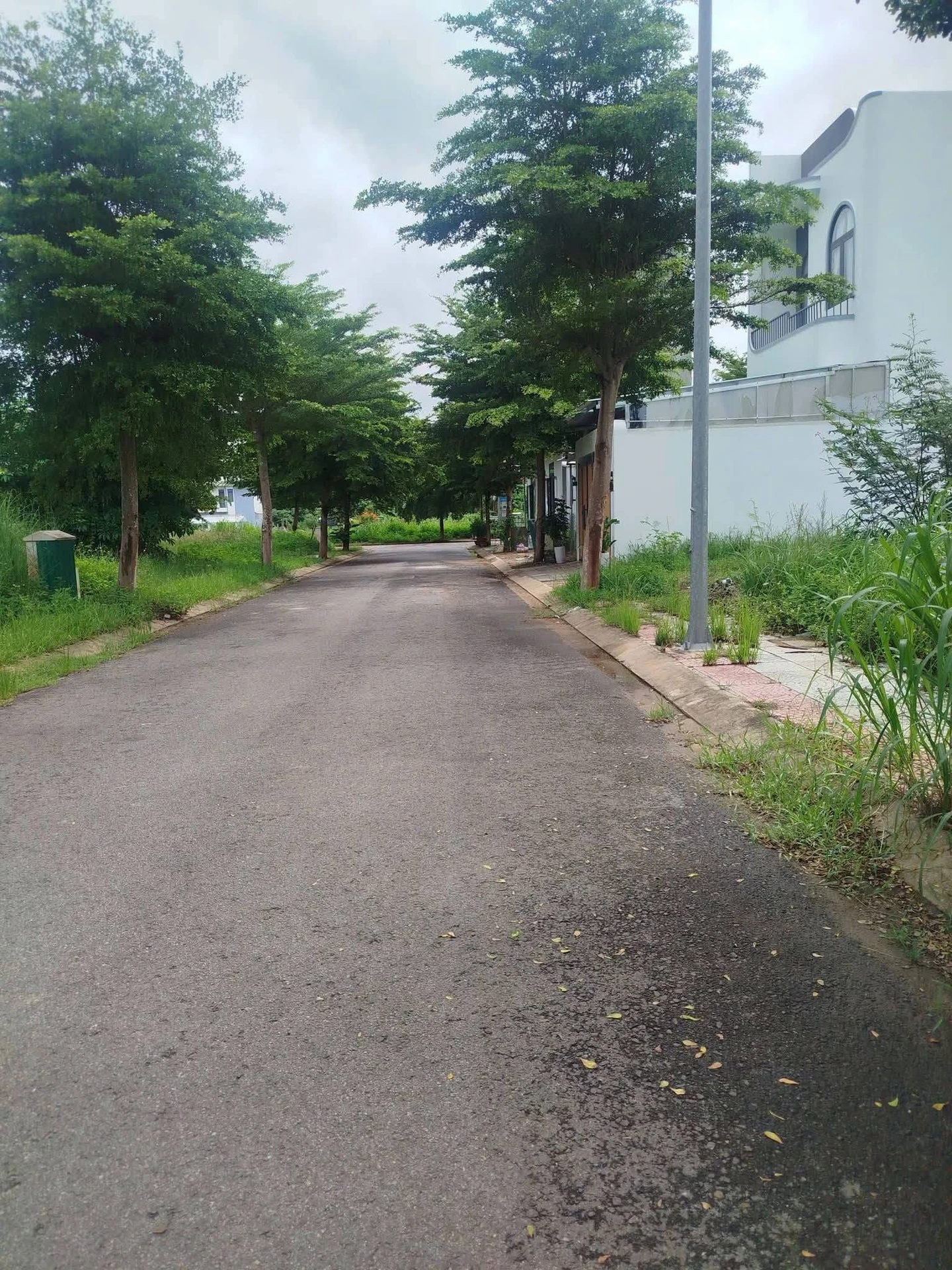 Bán đất KĐT An Phú Sinh Quảng Ngãi 118m² 1,6 tỷ - Ảnh 1
