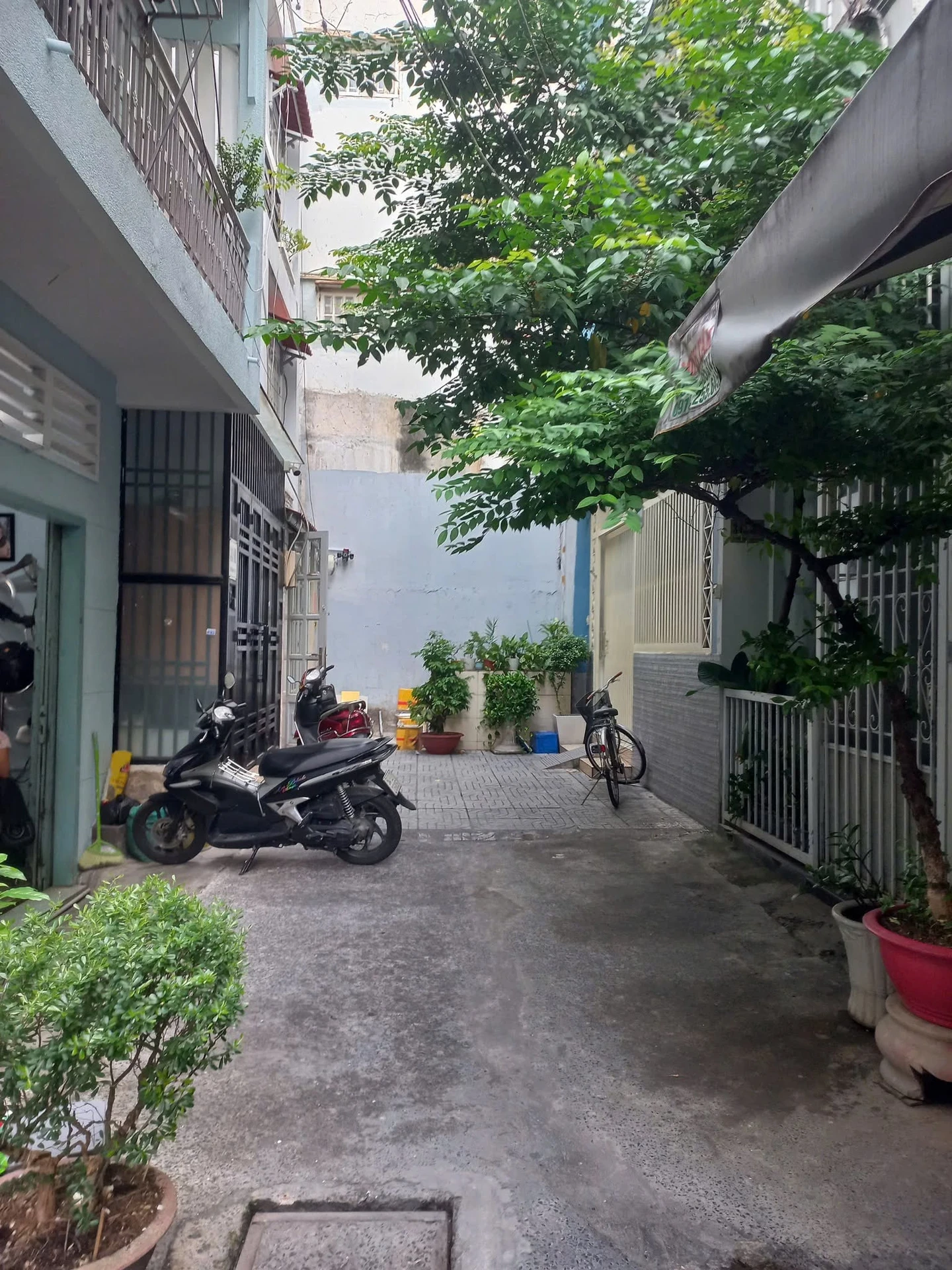 Bán nhà phố 39.2m² Phường Hòa Hưng Quận 10 - 8.3 tỷ - Ảnh 1