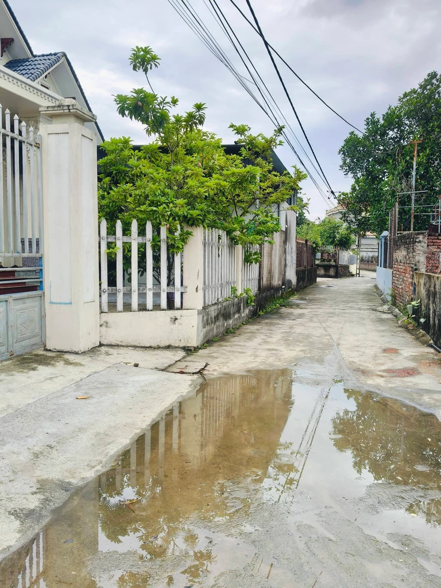 Bán lô góc 133m² thổ cư Gia Lộc, Hải Phòng, giá 1 tỷ 3 - Ảnh thu nhỏ 2