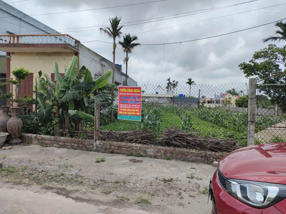 Bán đất Nam Thịnh Nam Cường, Thái Bình. Ô tô tránh, kinh doanh. Nhỉnh 1 tỷ. - Ảnh thu nhỏ 3