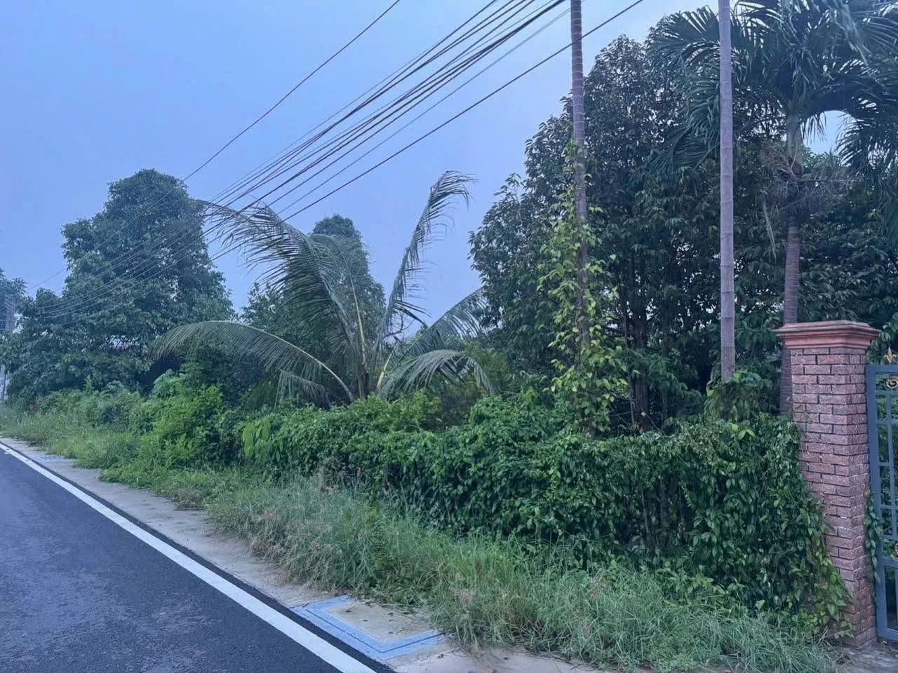 Bán đất Phú An, Bình Chánh 570m² mặt đường 12m, 3 tỷ - Ảnh 1