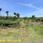 8 sào gỗ tếch tại huyện Cư Mgar, Đắk Lắk - Ảnh thu nhỏ 7