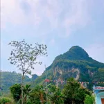 Bán đất vườn 1.002m² Kim Bôi Hòa Bình 1,25 tỷ - Ảnh thu nhỏ 4