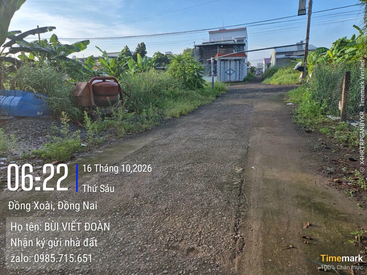 Bán đất Khu Phương Đông Trường Y 312.5m² 1.55 tỷ - Ảnh thu nhỏ 2