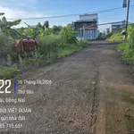 Bán đất Khu Phương Đông Trường Y 312.5m² 1.55 tỷ - Ảnh thu nhỏ 2