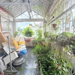 Bán nhà hẻm Nguyễn Tri Phương Q10, 40m2, 4 tầng, 8 tỷ - Ảnh thu nhỏ 4