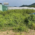 Bán lô góc 2 mặt tiền 457m² Buôn Đôn, Đắk Lắk - Ảnh thu nhỏ 1