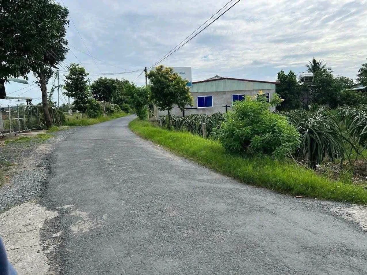 Bán 1400m2 đất 2 mặt tiền đường 30/4 tại Phước Tân Hưng, Châu Thành, Long An - Ảnh thu nhỏ 2