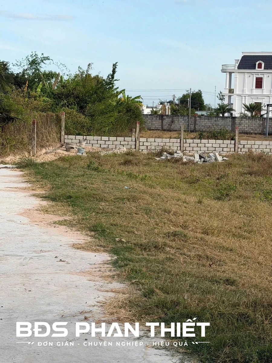 Bán đất trống 1.660 m² giá 1 tỷ 660 triệu tại Hàm Liêm, Lâm Đồng - Ảnh thu nhỏ 3