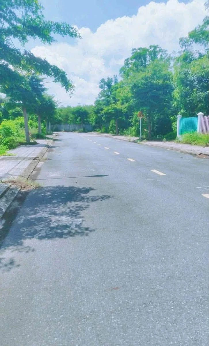 Bán đất thổ cư 5x16m đường nhựa 7m KDC Hưng Phát, An Điền, Phường Long Nguyên giá 980 triệu - Ảnh thu nhỏ 2