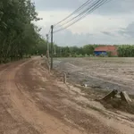Bán đất sổ riêng 200m² Thạnh Bình Tây Ninh 129 triệu - Ảnh thu nhỏ 5
