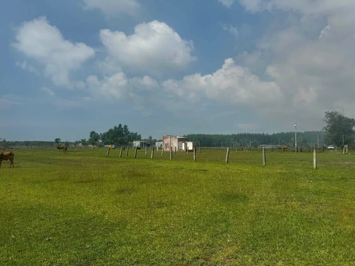 Bán đất Lạc Gì Lâm Đồng 1360m² 1 tỷ 3 - Ảnh 1