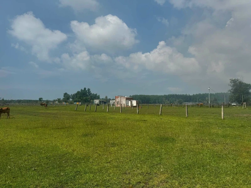 Bán đất Lạc Gì Lâm Đồng 1360m² 1 tỷ 3