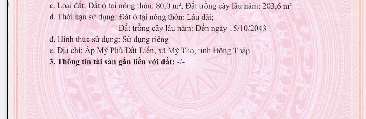 Bán đất nền Ấp Mỹ Phú Đất Liền, diện tích 283,6 m2. Có sẵn 80m2 là đất thổ cư - Ảnh 1